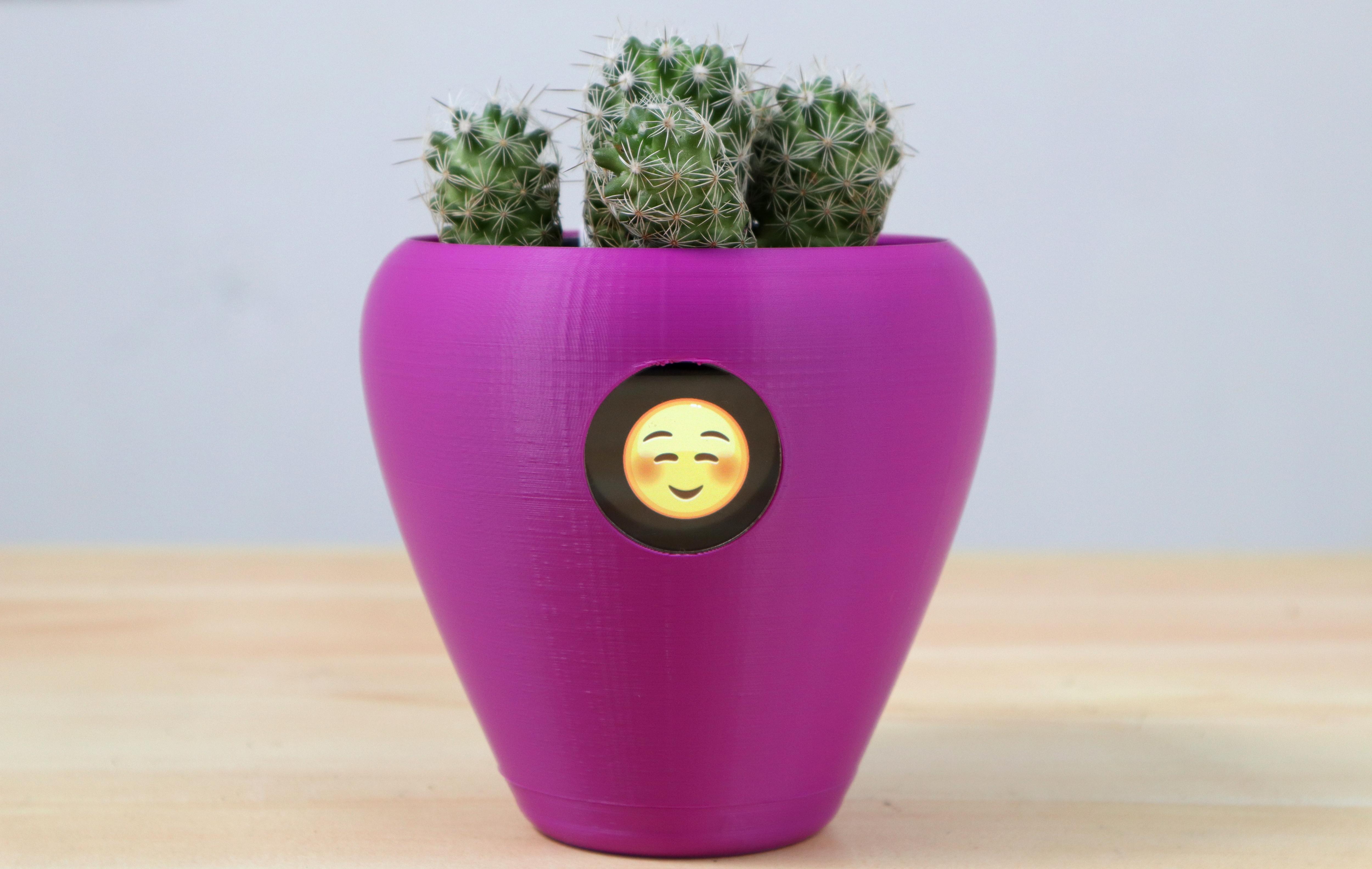 Image of Raspberry Pi Pico - Gør din plante til kæledyr!