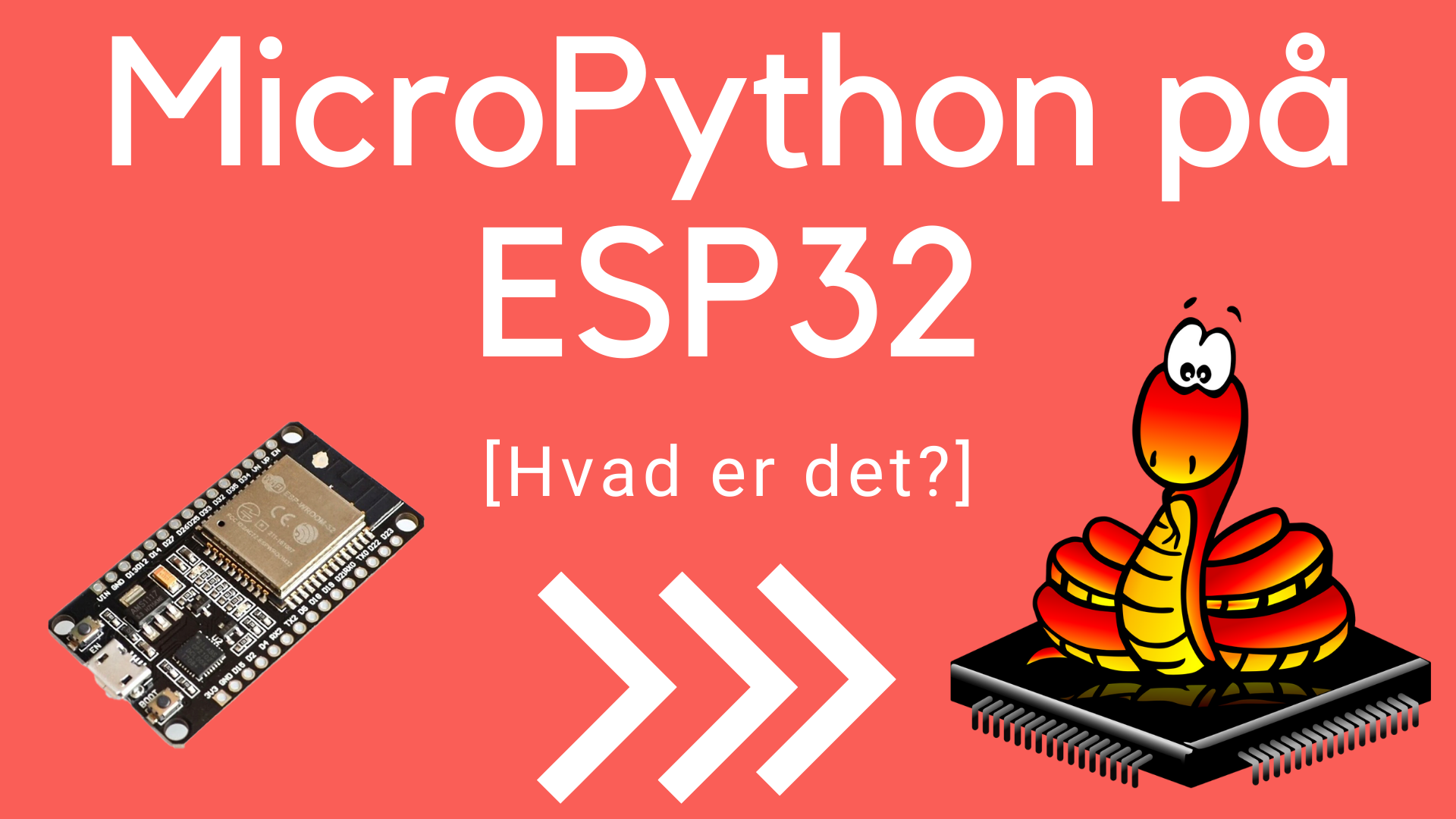 Image of MicroPython